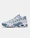 Кроссовки Nike Air Max Plus Drift 'Ashen Slate' FV4081-101 G590-Сірий-36 фото 1