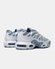 Кроссовки Nike Air Max Plus Drift 'Ashen Slate' FV4081-101 G590-Сірий-36 фото 8