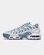 Кроссовки Nike Air Max Plus Drift 'Ashen Slate' FV4081-101 G590-Сірий-36 фото 4