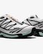 Кроссовки Salomon XT-6 'White Icy Morn' G096-Білий-36 фото 8